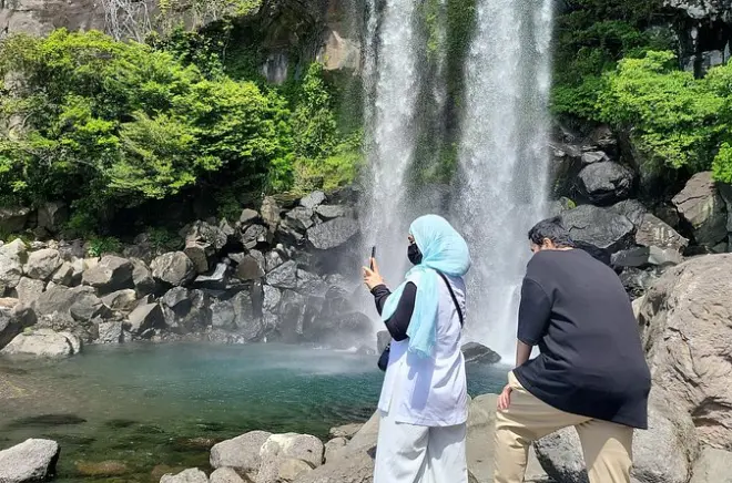 Private Seogwipo Tour: 1100 Road, Waterfalls & Tea Fields