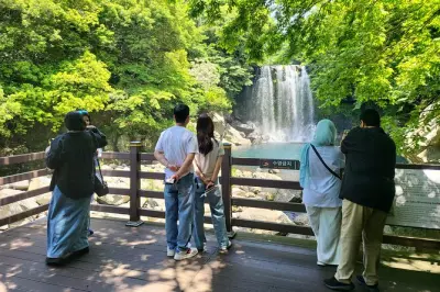 Private Jeju Tour: Cheonjeyeon Wasserfälle & O'Sulloc Teemuseum