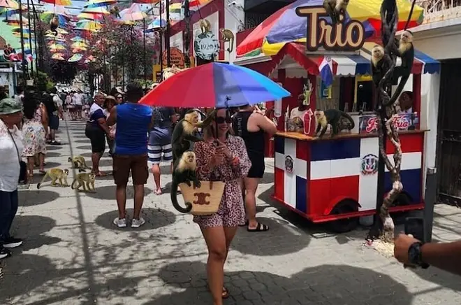 Puerto Plata: Tour por el fuerte, el centro histórico y Monkey Home