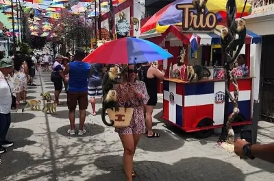Puerto Plata: Forte, centro histórico e santuário de macacos