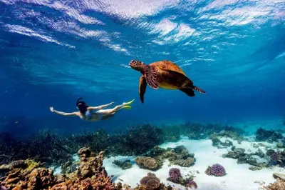 Kisite Marine Park Snorkeling: Dolphins & Coral Reefs