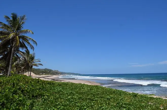 Barbados : Tortues marines, épave et arrêts sur l’île