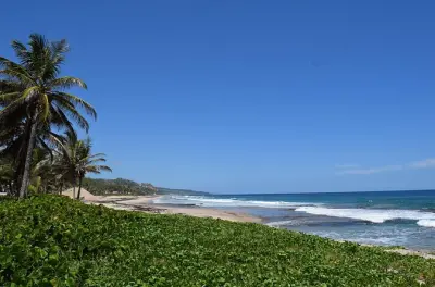 Barbados : Tortues marines, épave et arrêts sur l’île