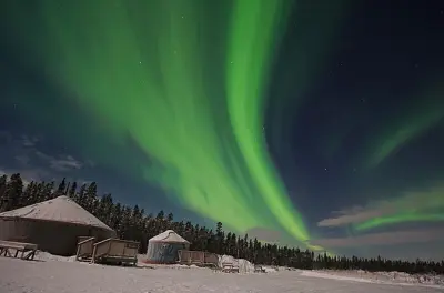 Whitehorse Aurora Viewing Tour: Northern Lights Experience