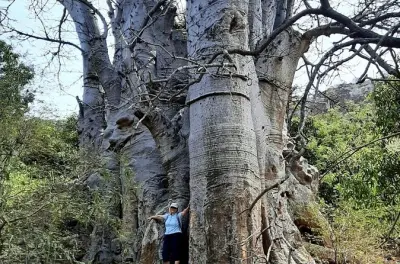 Randonnée vallée Calabaceira, baobab et Cidade Velha depuis Praia