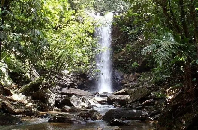 Caminhada na floresta tropical de Trinidad até cachoeira com piscina