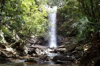 Foresta pluviale di Trinidad con escursione alla cascata e piscina