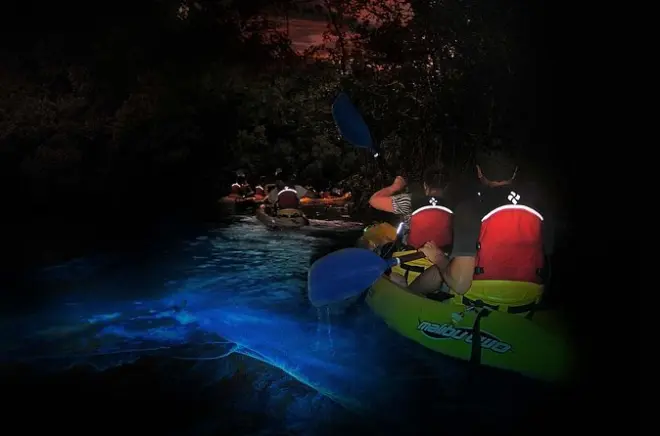 Kayaking Vieques Bio Bay: The world's brightest bioluminescence