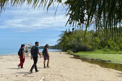 Despierta con los sonidos de la selva en cahuita, observa perezosos y monos con un guía local, nada en la cascada bribri y disfruta fruta fresca. transporte privado incluido.