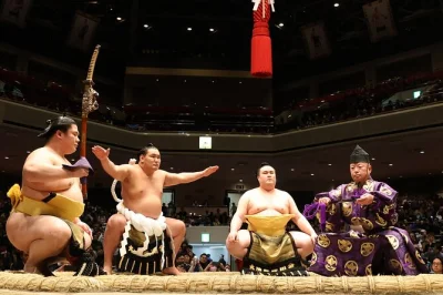 Feel the energy of tokyo’s sumo tournament at kokugikan arena with reserved seats, a local guide, and a snack. includes sumo booklet and ranking list.