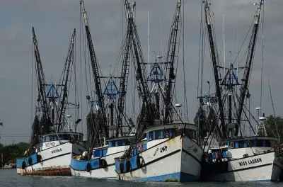 Porto di Brownsville: Crociera storica e degustazione di gamberi