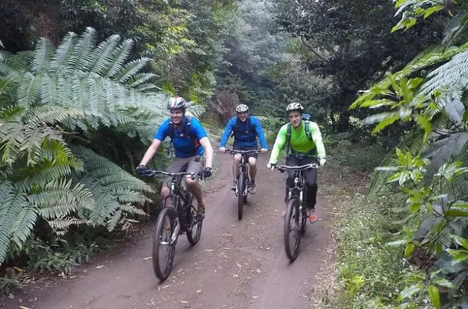 VTT à Madère : De Portela à Machico en cross-country
