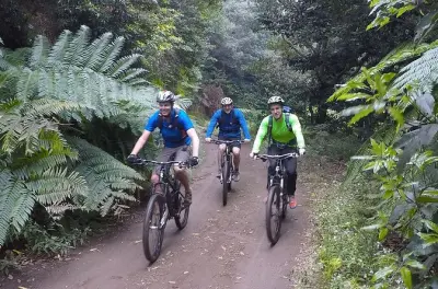 Tour de mountain bike na Madeira: Travessia de Portela a Machico