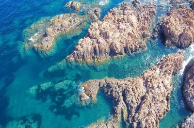 Snorkeling nell’Estérel: Barca, scogliere rosse e fondali