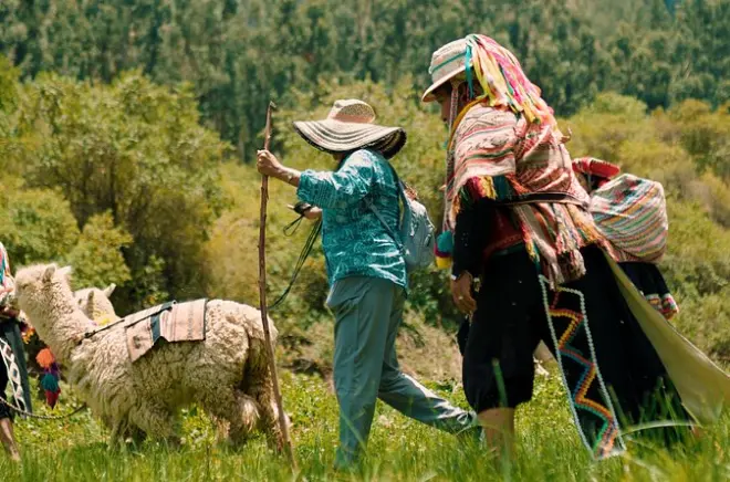 Sacred Valley Alpaca Hiking Tour: Walk with Local Herds