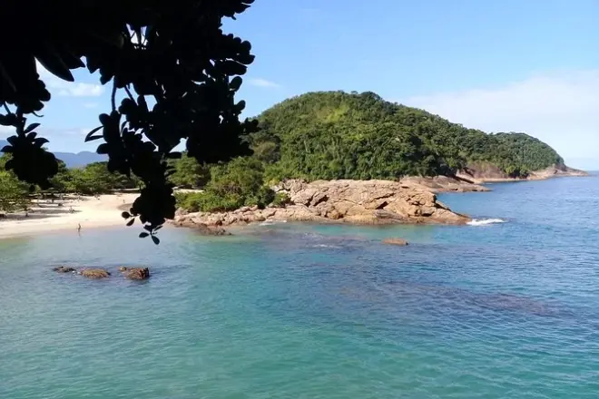 Trindade Beach tour from Paraty: Natural pool & Atlantic Forest