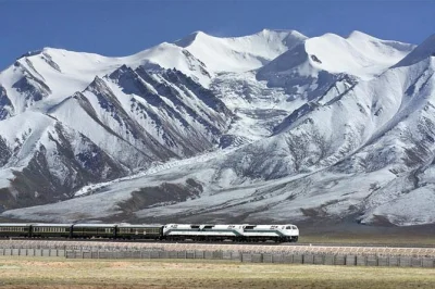 Ride the qinghai-tibet railway from chengdu, see lhasa’s potala palace & jokhang temple, share meals, and experience tibetan monasteries with a local guide—includes permits.