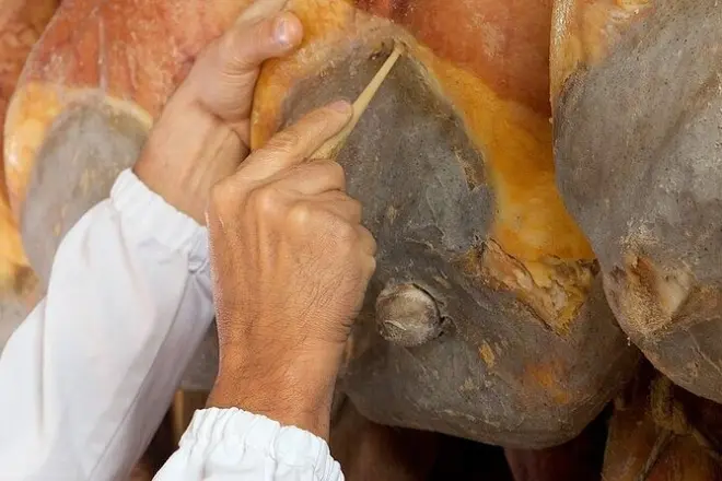 Verkostung und Fabrikbesuch von Prosciutto di Parma in Parma-Hügeln