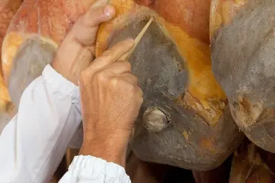 Degustazione di prosciutto sulle colline di Parma con visita guidata