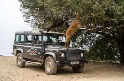 Safari sulla rotta minoica: Villaggi montani, formaggio e sentieri