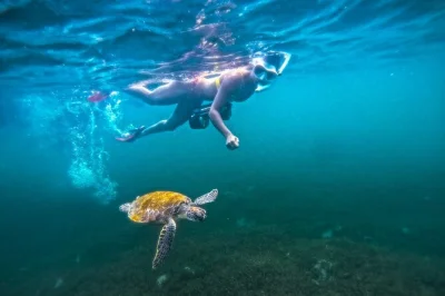 Siente la emoción del snorkel con jet en las aguas cristalinas de san juan, nada junto a tortugas marinas y guarda cada momento en video—tour guiado con equipo y agua incluida.