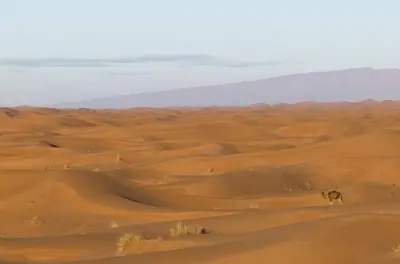Erg Chigaga: Tour pelo deserto com sandboard e noite sob as estrelas