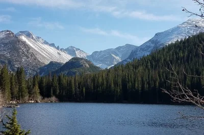 Erlebe elchherden, gefrorene seen und frische bergluft bei einem tagesausflug von denver in den rocky mountain nationalpark – inklusive abholung, örtlichem guide und zeit in estes park.