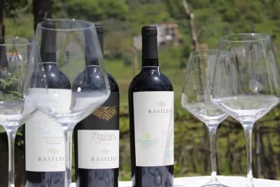 Experience a family-run campania winery: vineyard tour, cellar visit, and homemade dinner under the stars. book your authentic italian wine evening now.