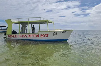 Snorkeling in Mombasa: Mtwapa Creek and Coral Gardens