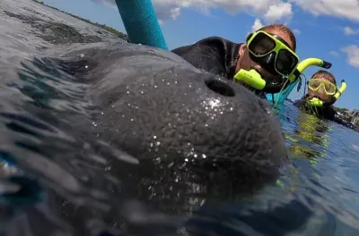 Crystal River Snorkeling with Manatees: Private Boat Tour