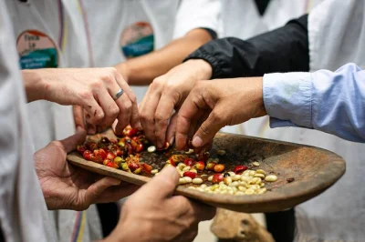 Scopri una fattoria di caffè a conduzione familiare vicino a medellín, arriva a cavallo, assaggia caffè freschi, prova la lavorazione della canna da zucchero e condividi un pranzo con la gente del 