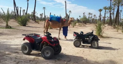 Feel the dust and laughter on a marrakech quad bike & camel tour in the palmeraie, with hotel pickup and a sweet tea break under the palms. book your half-day escape.