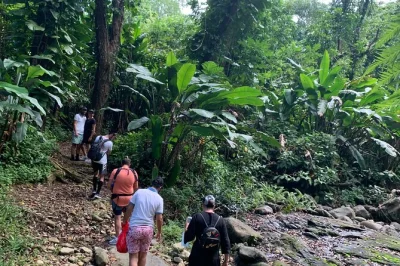 Feel the cool mist of el yunque, swim in wild rivers, and relax at luquillo beach. includes san juan pickup, entry fees, and a local guide’s stories.