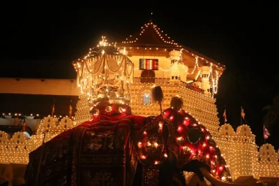 Discover kandy’s sacred temple of the tooth, stroll a herbal spice garden, and visit a tea estate on this private day tour. includes lunch and hotel pickup.
