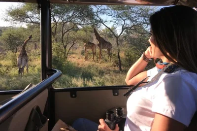 Step into kruger’s wild heart on a full day safari, guided by locals, with hotel pickup and open vehicle. taste the bush air, spot the big 5, and share stories at picnic stops.