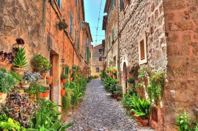 Excursion privée à Valldemossa, château de Bellver et Palma