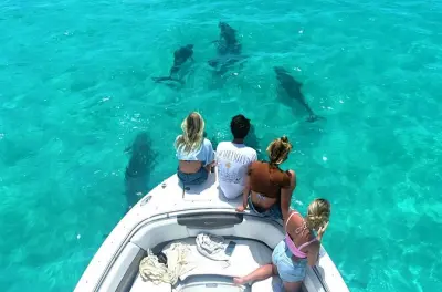 Snorkeling à Key West avec dauphins et récifs, 6 pers. max