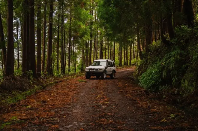 Terceira Insel Jeep-Tour ab Angra: Caldeira & Höhlen