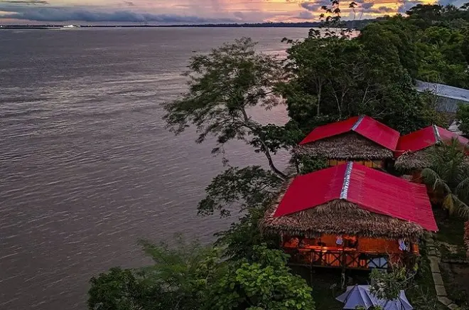 Amazonas-Tour: Rosa Delfine & Nächte im Dschungel