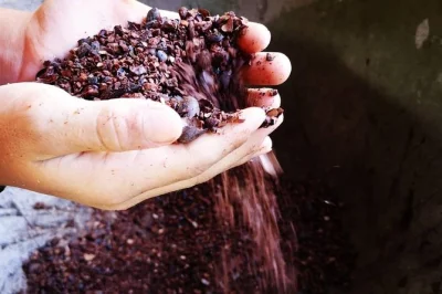 Erlebe costa ricas traditionen rund um kakao, kaffee und zuckerrohr bei einer praktischen tour mit einheimischem guide, schokoladenverkostung und hoteltransfer inklusive.