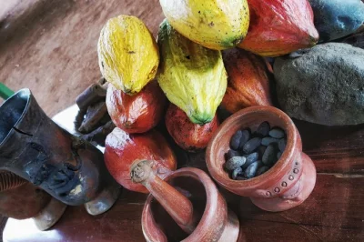 Erlebe costa ricas wärme bei einer praktischen schoko-, kaffee- & zuckerrohr-tour nahe la fortuna. probieren, mahlen, schlürfen & lachen mit einer lokalen begleitung. eintritt inklusive.