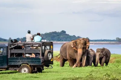 Safari privato in jeep: Parchi Minneriya, Kaudulla e Hurulu