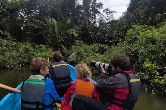 Canales de Tortuguero en canoa con avistamiento de fauna silvestre