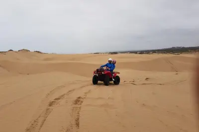 Quad en Essaouira: Playa, bosque y dunas