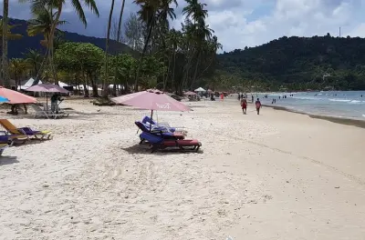 Maracas Bay: Veicolo privato, sosta al belvedere, bake and shark