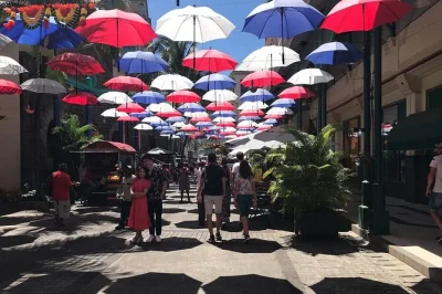 Feel the pulse of mauritius on a private north day tour—stroll pamplemousses garden, wander caudan waterfront, explore grand-baie. includes pickup & wifi.