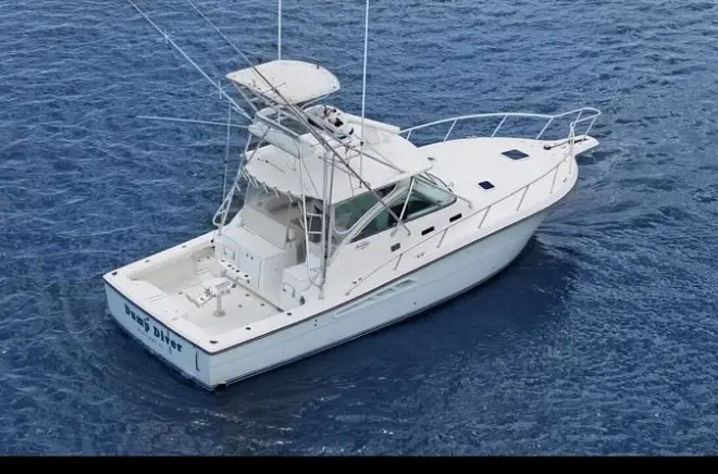 Big game fishing à Puerto Plata : Bateau de 10 m, 8 heures