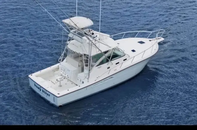 Big game fishing mezza giornata: Barca privata da Puerto Plata