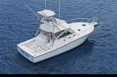 Charter pêche au gros demi-journée : Bateau privé à Puerto Plata