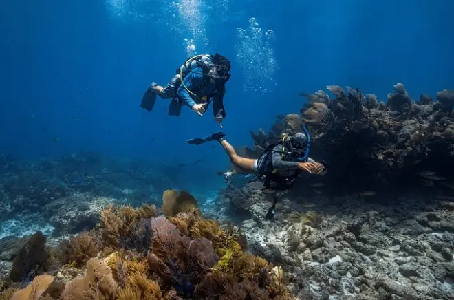 Scuba Diving in Key Largo: First Ocean Dive, No Experience